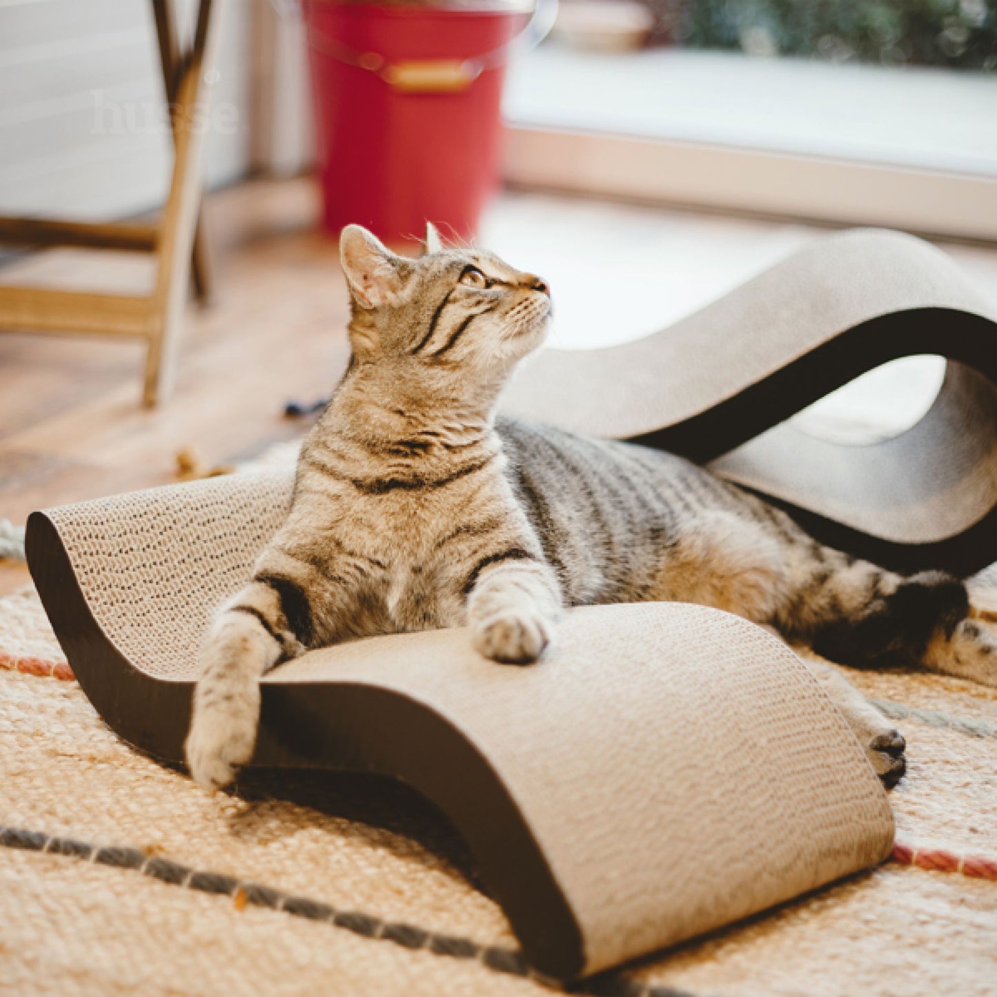 Knut | Scratching board to keep your cat healthy & active