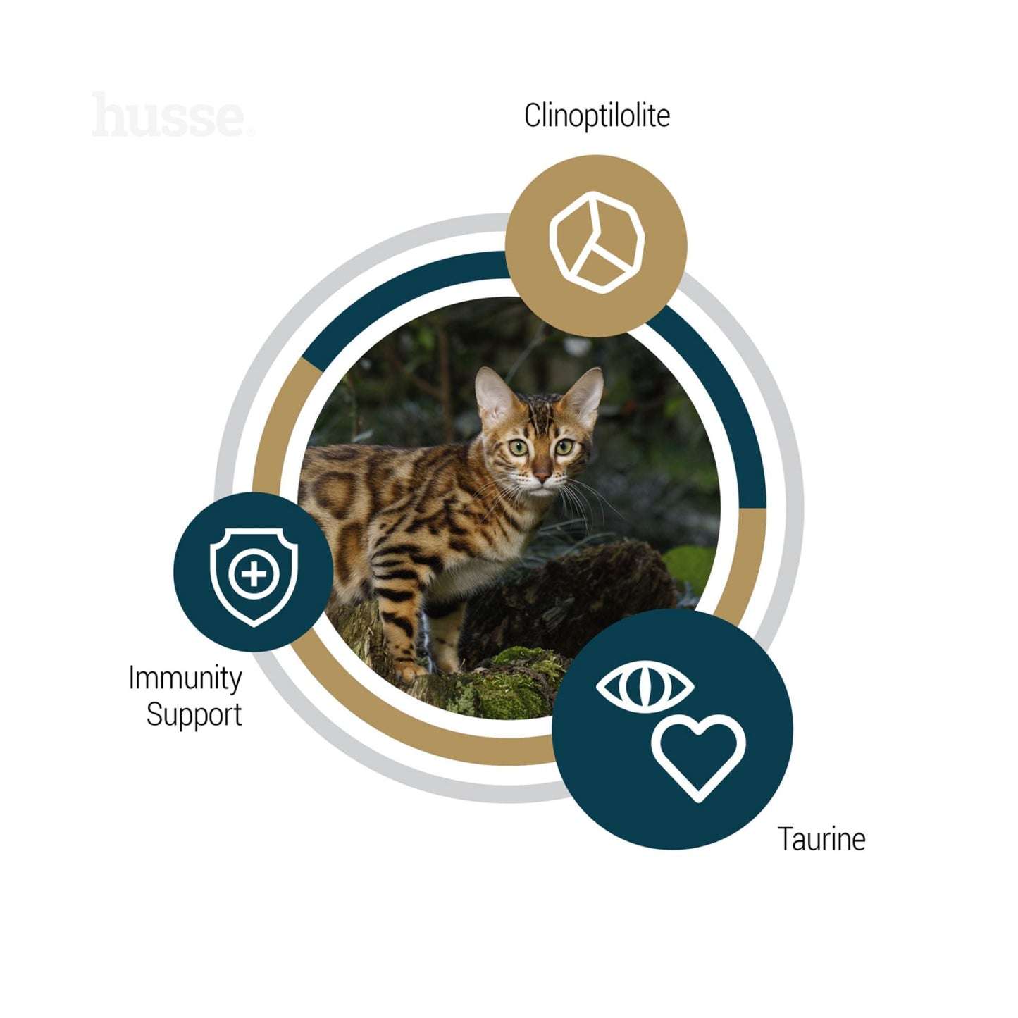 Lynx Senior | Grain free kibbles for senior cats with sensitive skin & stomachs (free sample - one pack per customer)
