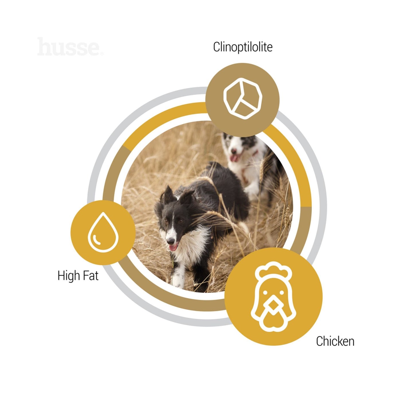 Opus Farm | Grain free kibbles with limited animal protein sources (free sample - one pack per customer)