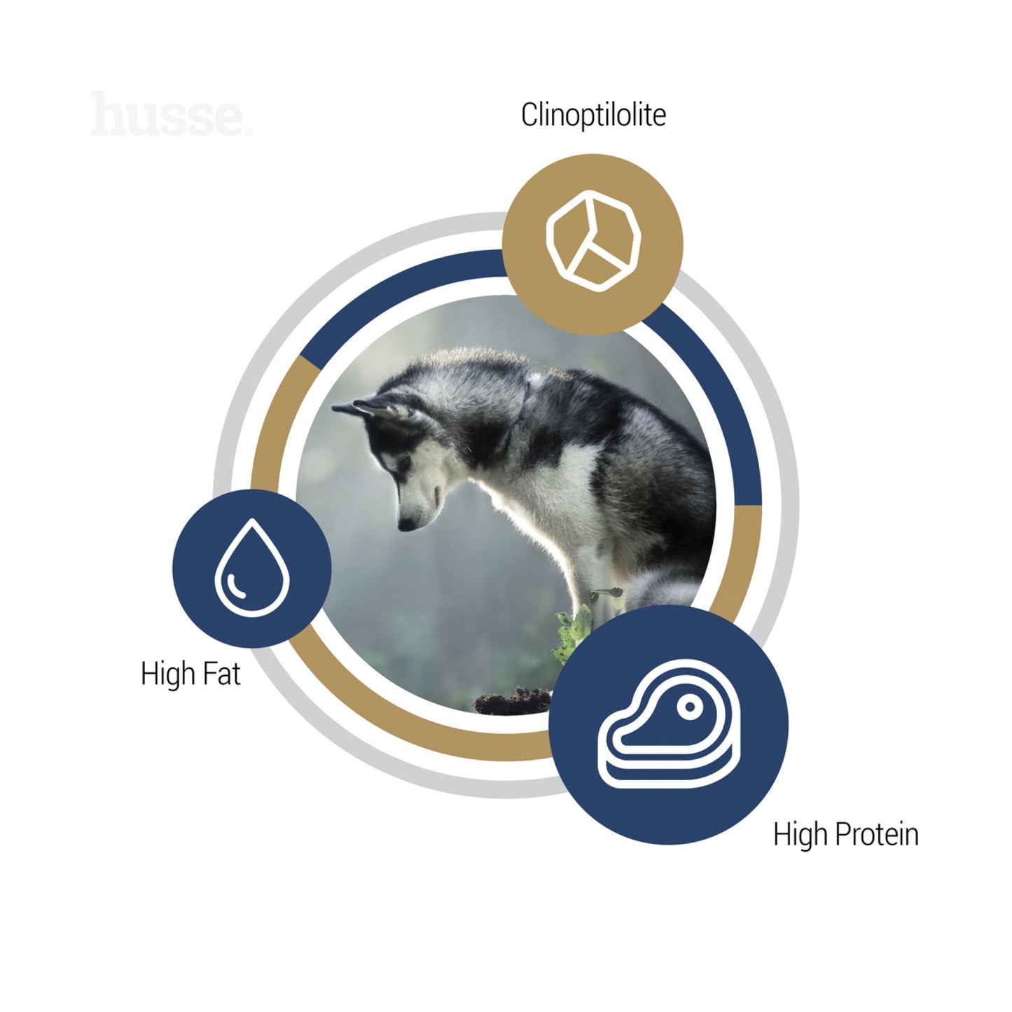 Opus Ocean | Grain & gluten free kibbles with a single animal protein source