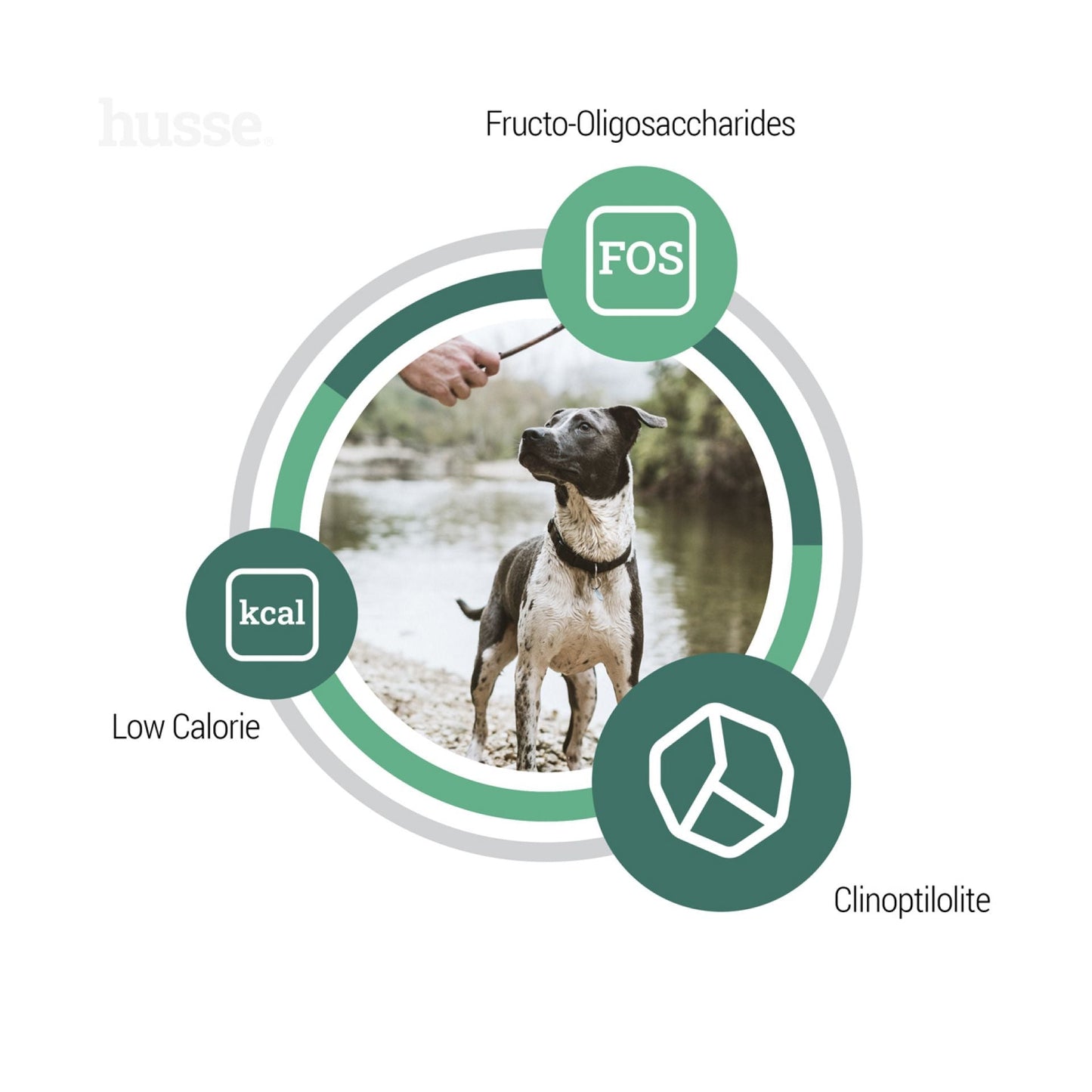 Prima Plus | Maintenance dog food with moderate fat & calorie content (free sample - one pack per customer)