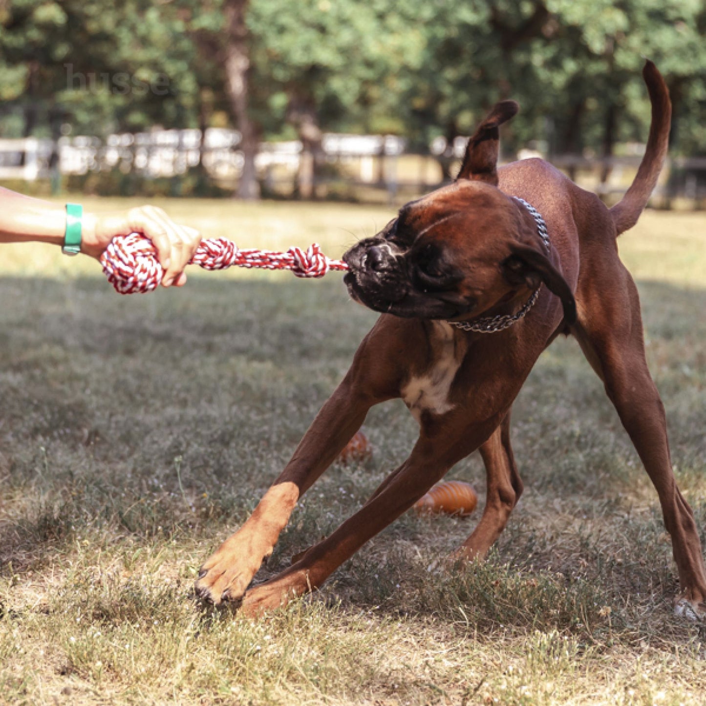 Rep Boll | Rope toy with knotted ball