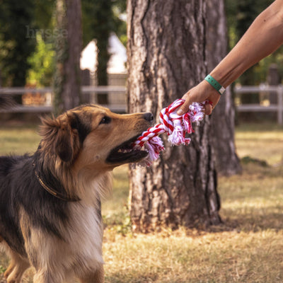 Rep | Classic rope toy with bone-like shape