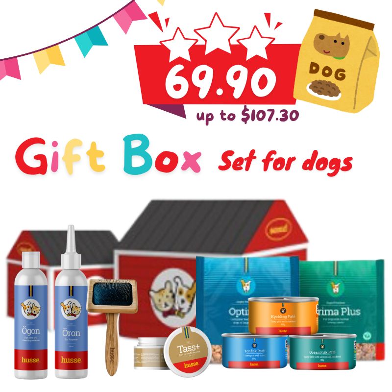 GIFT BOX SET for dogs | Food and Grooming Supply Set