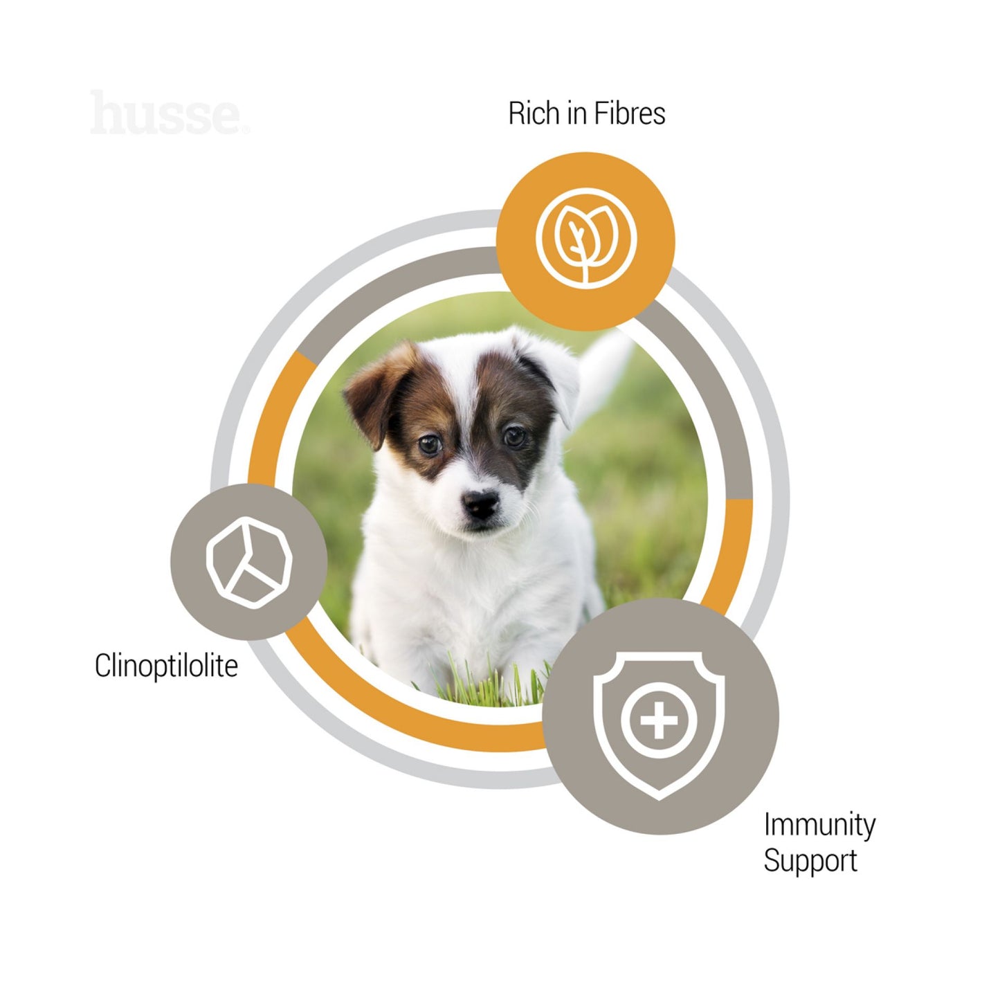 Valp Mini | 小型犬の子犬の発育をサポートするドライフード