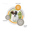 Valp Mini | 小型犬の子犬の発育をサポートするドライフード（無料サンプル - 1人1パック）